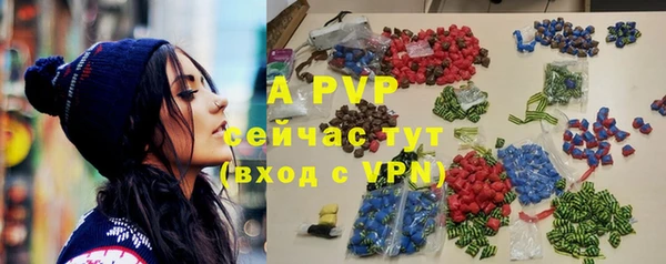 apvp Богородицк